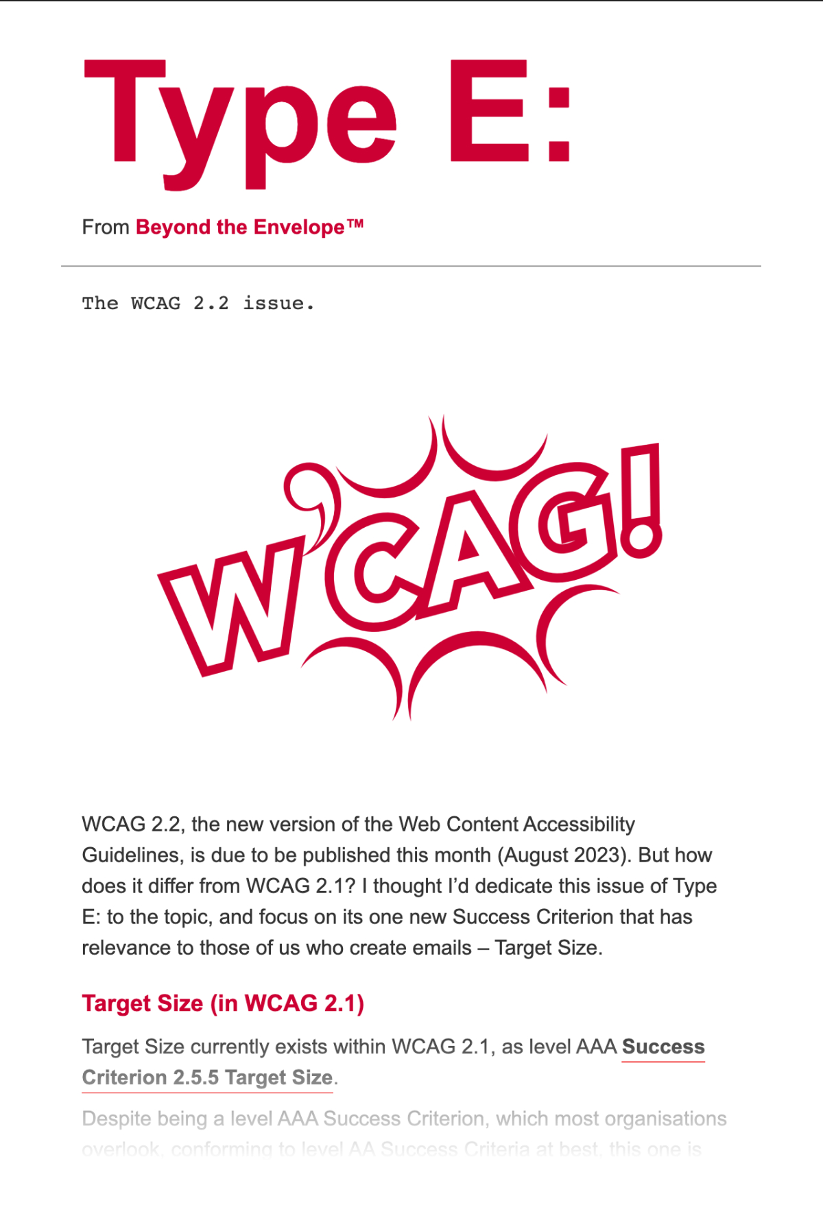Type E: The WCAG 2.2 Issue